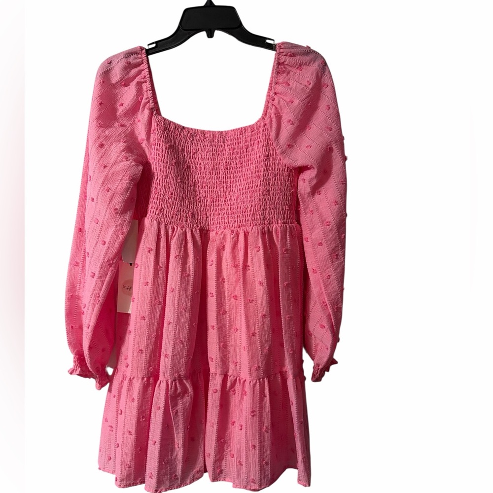 NWT Boho Pink Swiss Dot Babydoll cottagecore Dress Size L